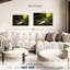 Cascade alvord mystique et moussue-108709870