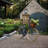 Wall Light-50455203