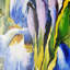 Shi Fei's Twilight Irises