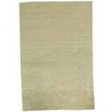 Area Rug in Beige