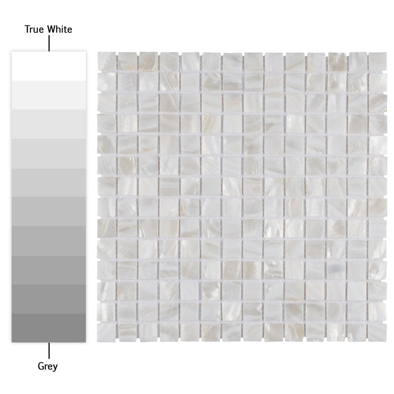 Conchella Square White 12" x 12" Natural Shell Mosaic Tile