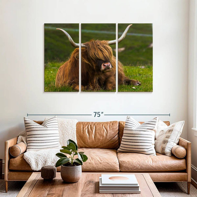Brampt  Highland Cow On Grass, 36" H x 57" W