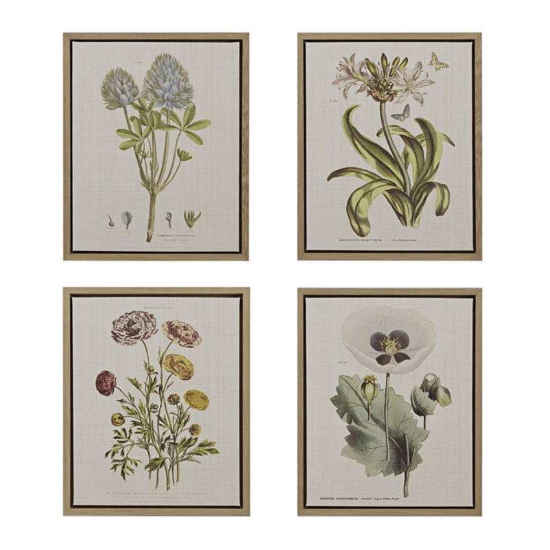 «Herbal Botany», ensemble de 4 toiles encadrées avec illustrations botaniques