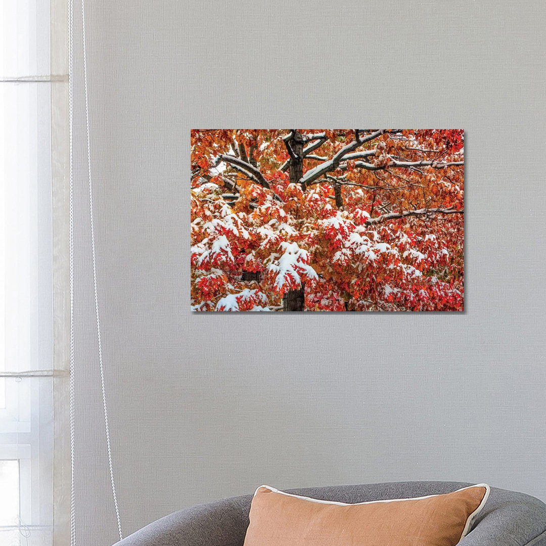 Seasons Of Change von Bill Sherrell - Galerie-verpackte Leinwand Giclée