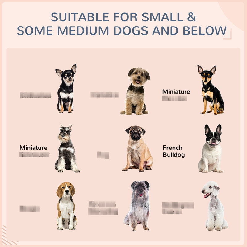 Niche pour chien avec auvent, protection, pour chiens de taille moyenne, auvent pour chien gris crème, coussin d'eau, PE, conception surélevée