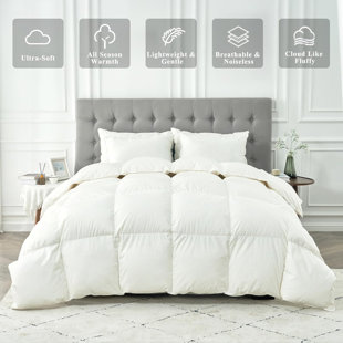 Édredon en duvet 100% coton toutes saisons