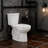 Transitional Elongated Toilet Seat Soft Close(White/Elongated Front)
