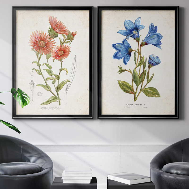 «Botanical I», ensemble de 2 reproductions d'art, Pas de tapis, H 31,5 po x l 47 po x P 1,5 po