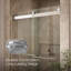 Porte de douche à dérivation 47,63 po x 74 po Levity avec technologie CleanCoat-10977742-69281747