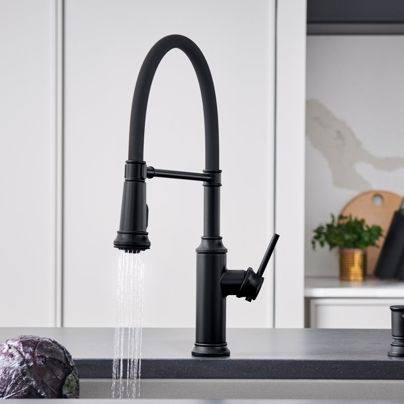 Empressa Semi-Pro Pull-Down Dual-Spray Kitchen Faucet, Matte Black
