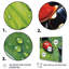 Coccinelles rouges et noires I-771117825-771117835