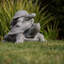 Aalayiah Tortoise Weather Resistant Garden Statue