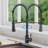 Zupora Pull Down Kitchen Faucet-69680774