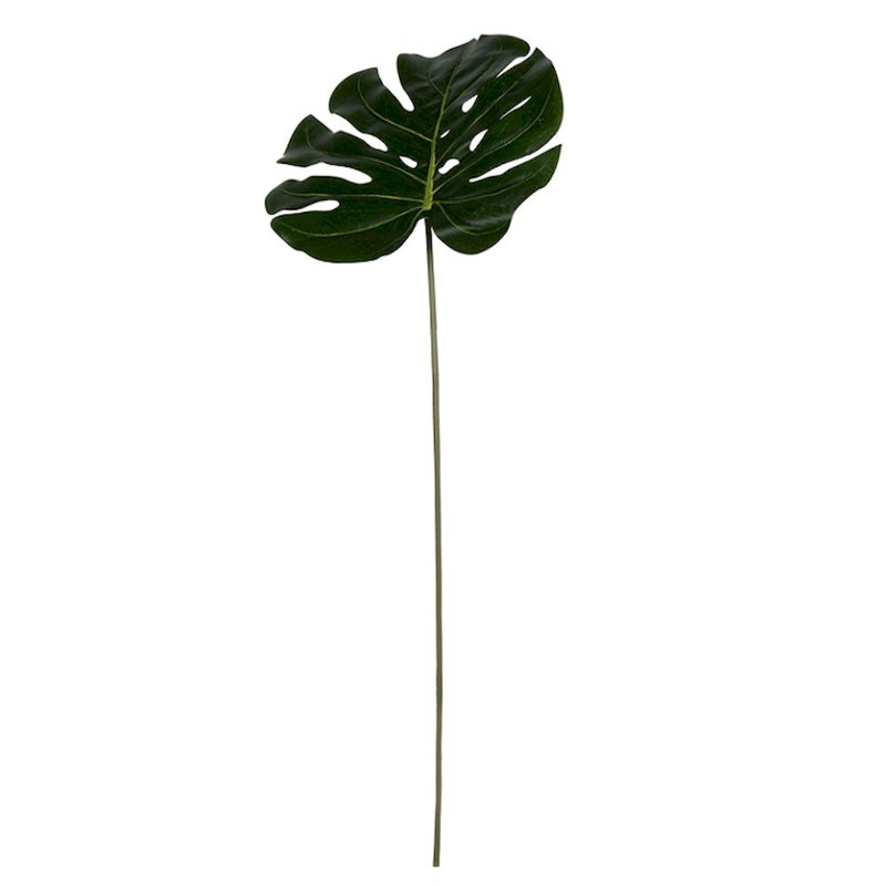 Tige de feuille split