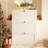 Lasherrie Shoe Storage Cabinet with 3 Flip Drawers-1617938683