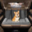 Siège de voiture pour animaux-135206082