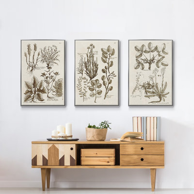 Sepia Botanical Journal VI