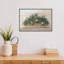 «Market Geraniums Crop» par Carol Rowan, reproduction d'art sur cadre flottant-199907330