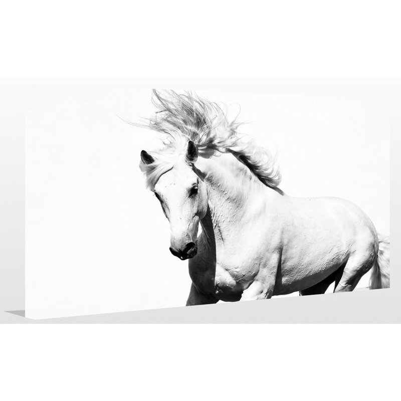 « cheval running », reproduction de photo sur toile tendue, H 18 po x l 30 po x P 1 po