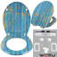 Dejay Soft Close Elongated Standard Toilet Seat