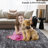 Machine Washable Area Rug Modern Non Slip Rugs for Living Room Bedrooms Foldable Rugs for Playroom Office Kitchen-738689418