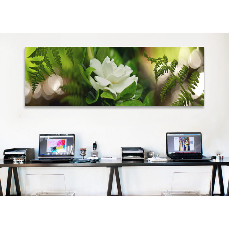 Fougère avec magnolia - Reproduction de photo panoramique non encadrée, H 12 po x l 36 po x P 1,5 po, Cadre noir