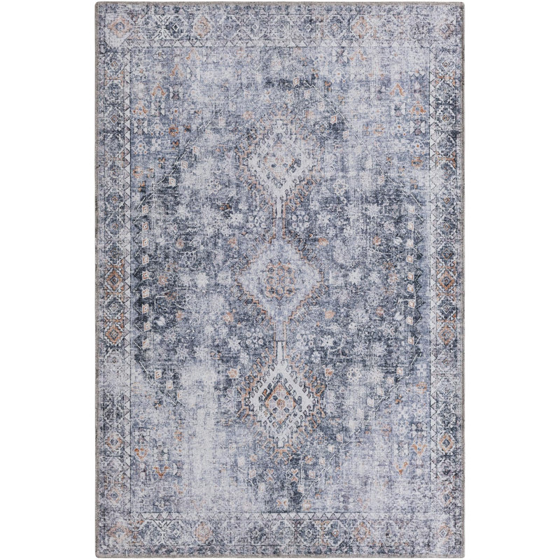 Tapis Akash Thorine, Gris, Rectangle 4 pi 1 po x 6 pi 1 po