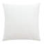  Housse de coussin carré en velours-299396029-299396028