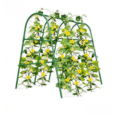 Treillis arqué de jardin 4 x 4 pi pour lits surélevés, support de plante en U résistant à la rouille pour concombres, raisins et vignes grimpantes