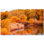 Bridge Photo 12'' x 12'' Satin Ceramic Decorative Mural
