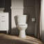 Cimarron 1.6 GPF Round Two-Piece Toilet (Seat Not Included)-61803525-101379215