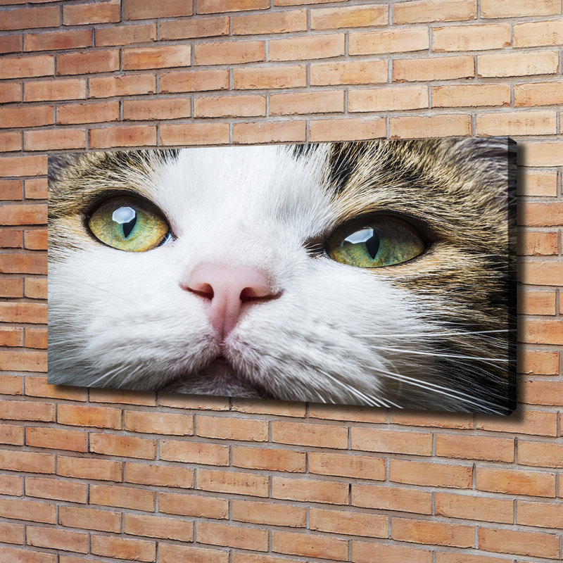 Green Cat's Eyes - Wrapped Canvas Print