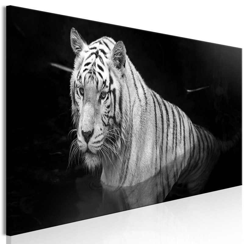 Tigre brillant sur toile, H 20 po x l 59 po x P 0,7 po, Noir / blanc