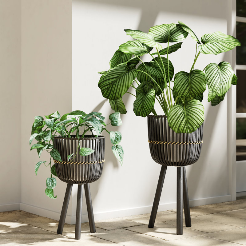 Jardinières en osier et bambou Corette (ensemble de 2), Noir, H 23 po x l 13 po x P 13 po, Ensemble de 2