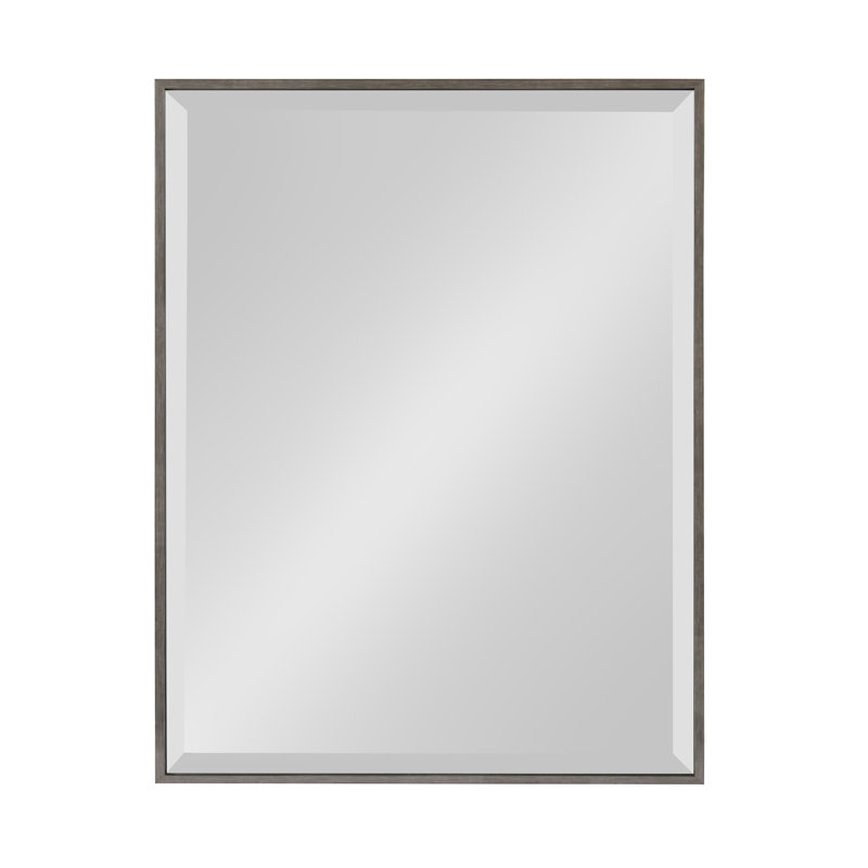 Logsdon Flat Mirror, Dark Silver, 18" x 24"