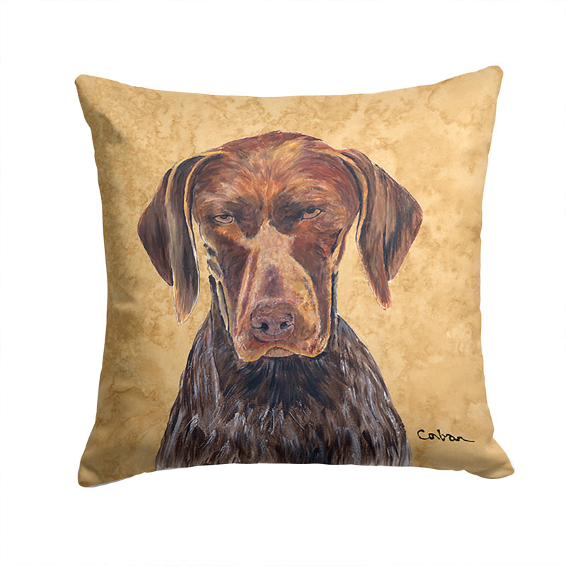 Outdoor Reversible Throw Pillow