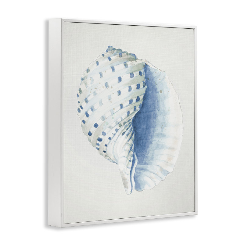 Giclée de conque tachetée par Patricia Pinto, Giclée encadrée blanc bord de mer, H 14 po x l 11 po