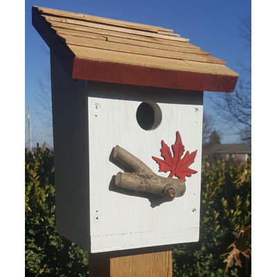 Mikayel Salt Box 12 in x 7 in x 8 in Birdhouse