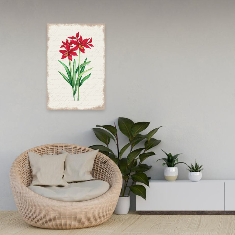 Amaryllis rouge, botanique et art contemporain, H 24 po x l 16 po