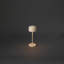 Lille Mini Cordless Table Lamp - USB Rechargeable, Dimmable LED, Elegant Design-110764267-110764271