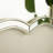 24'' Fleuron Mirror