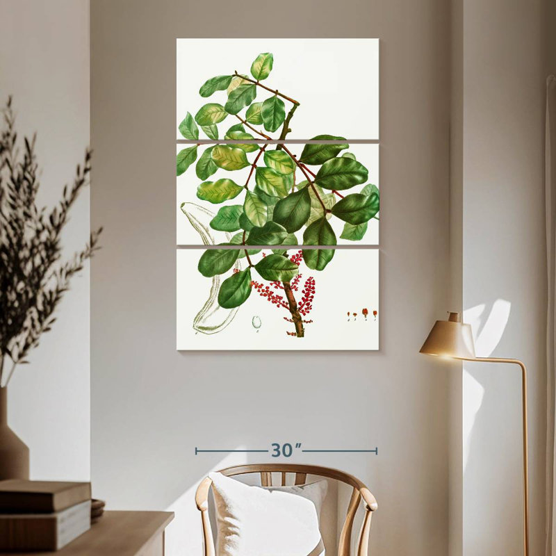 Keiri Carob Tree, 65" H x 42" W