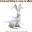 Bunny Decor Garden Statue,Resin Sitting Rabbit Figurine (Set of 2)