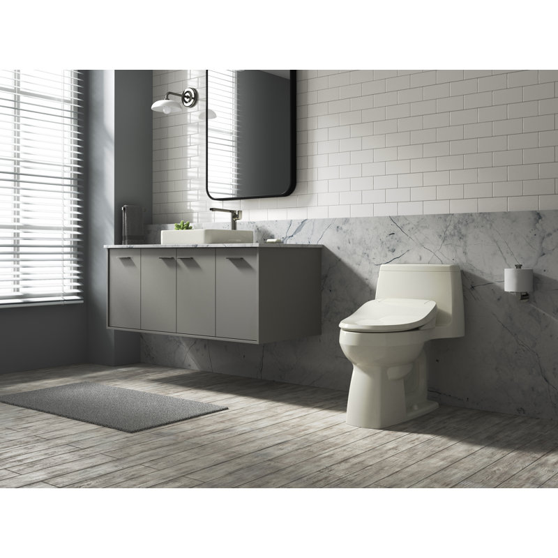 C3® Toilet Seat Bidet Elongated Bidet Seat, Biscuit