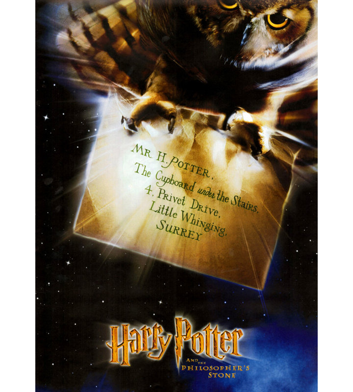 Pierre de sorcier Harry Potter, H 18 po x l 13 po