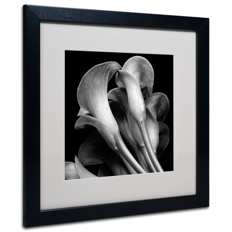 « lillies », reproduction de photo encadrée, H 16 po x l 16 po x P 0,5 po