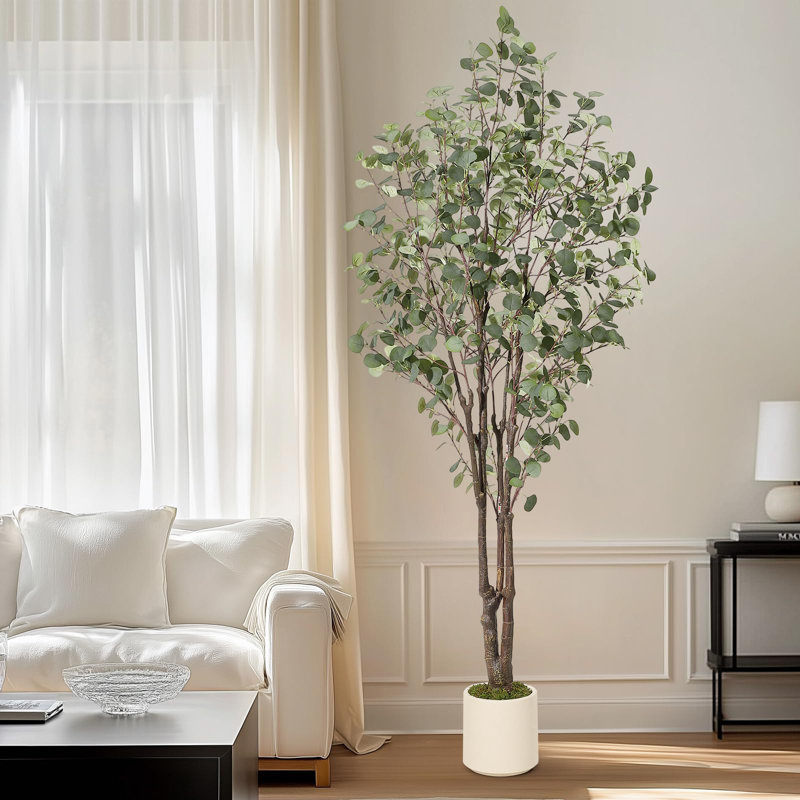 Eucalyptus d'intérieur d'intérieur, H 84 po x l 7 po x P 7 po