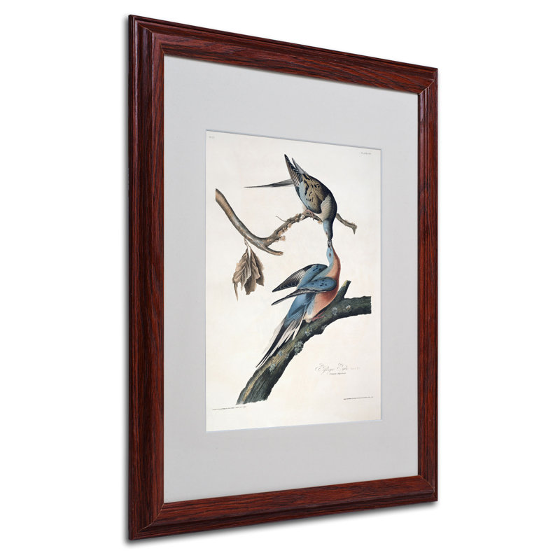 Passager Pigeon par John James Audubon - reproduction d'art sur toile, H 20 po x l 16 po x P 0,5 po, Brun