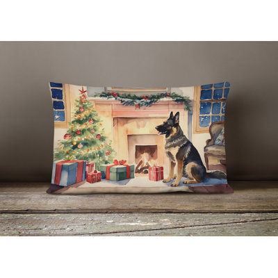 Other/No Pattern Outdoor Throw Pillow