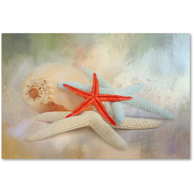 Wrapped Canvas Wall Art - Jai Johnson 'Gifts From The Sea' Wall Art for Living Room, Bedroom, or Office Décor - 30x47